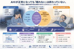 COMISAという概念