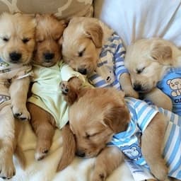 眠れない夜 起きられない朝
