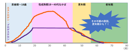 睡眠リテラシー第3回 女性のライフコースと睡眠